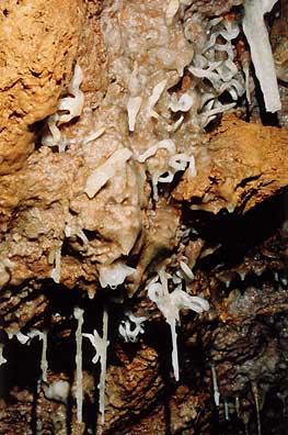 Helictite cave decorations